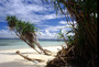 borneo - pulau sipadan.jpg